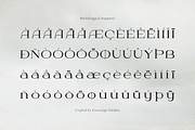 Dyrenko | Display Serif Font, a Serif Font by gracetype_studio (Thumbnail 11 of 12)