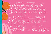 Fagibestin Elegant Script Font, a Script Font by timelesstype.co (Thumbnail 19 of 20)