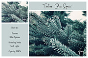 30 Winter Textures, a Texture Graphic by LovePhotoMoment (Thumbnail 11 of 13)