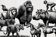 Wildlife Engraving Vector Pack, an Animal Illustration by Alternate Studio (Thumbnail 3 of 6)