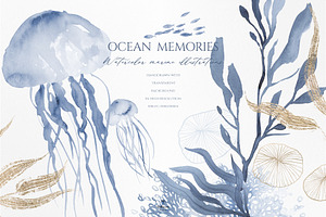 Ocean Memories Underwater Collection