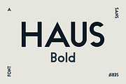 HAUS Sans Bold, a Sans Serif Font by MARTINI Type Designer (Thumbnail 1 of 5)