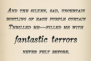 Bonsai Italic, a Font by Three Islands Press (Thumbnail 5 of 5)