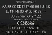 Type Family, a Sans Serif Font by InermediaSTUDIO (Thumbnail 7 of 8)