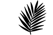 Stylish tropical palm wall decor, an Illustration by Amazin_art (Thumbnail 33 of 33)