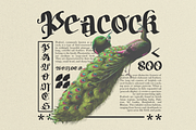 Bodywork - Modern Blackletter, a Blackletter Font by Dharmas Foundry (Thumbnail 10 of 15)