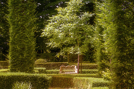 Beautiful Garden Featuring Garden Plants And Yards preview 5