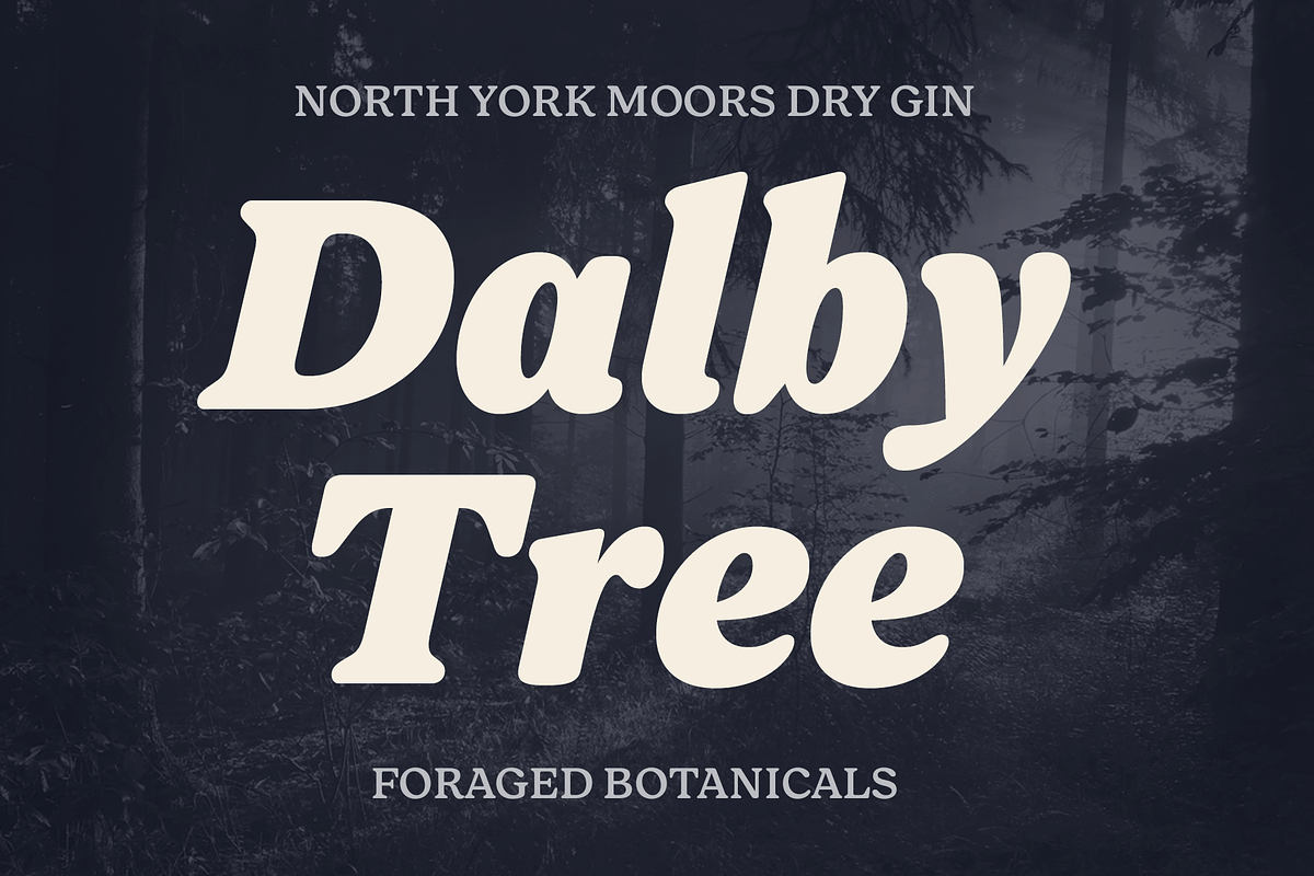 Forrest Friendly Serif Family, a Serif Font by Fenotype (Photo 7 of 12)