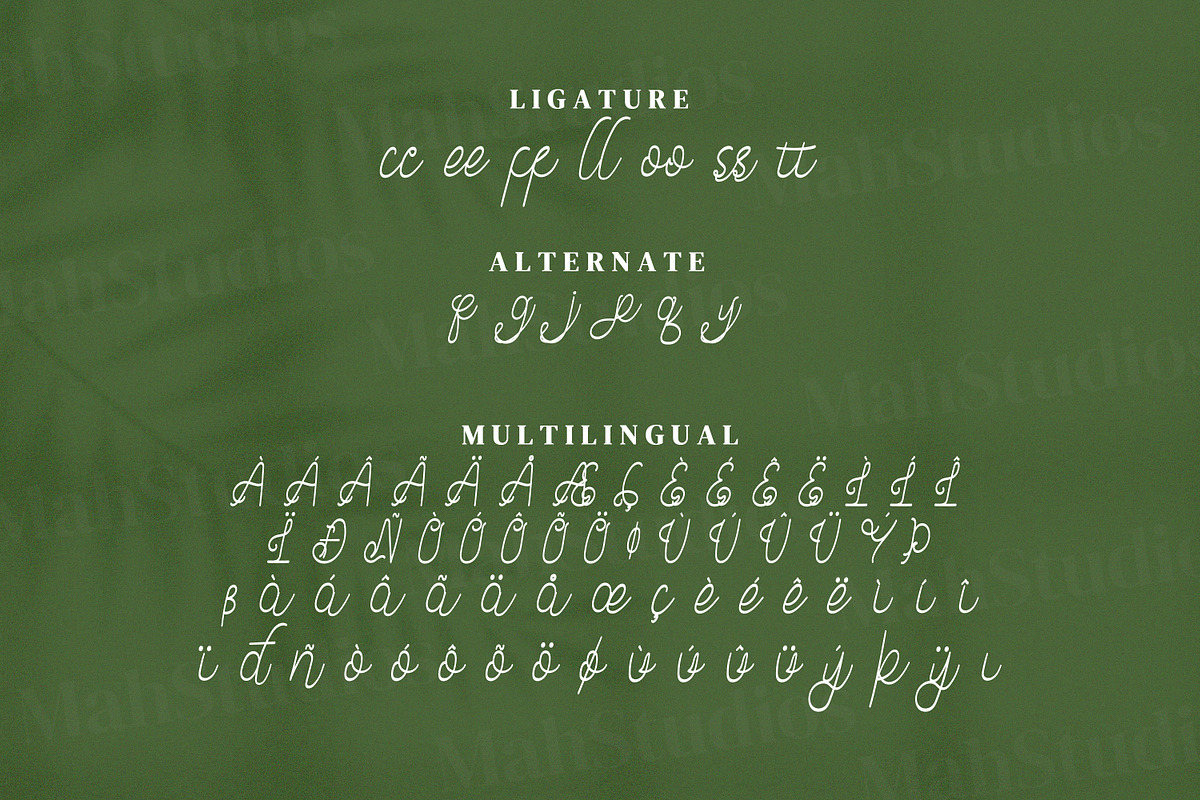 Abjoccy Script Fonts, a Script Font by mahstudios (Photo 13 of 14)