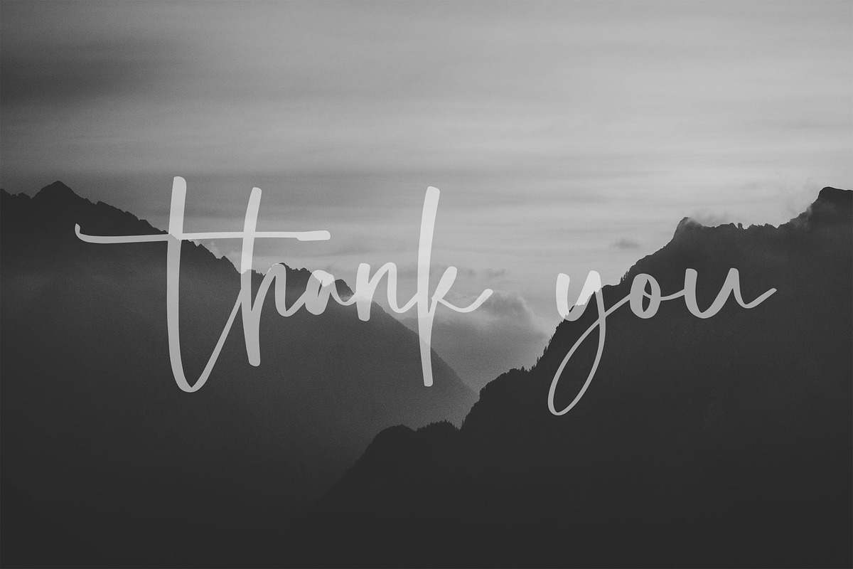 Amallicita - Elegant Script Font, a Script Font by NTC Graphic (Photo 9 of 9)
