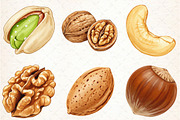 Nuts Watercolor Clipart, an Illustration by Libby Wishes (Thumbnail 4 of 6)