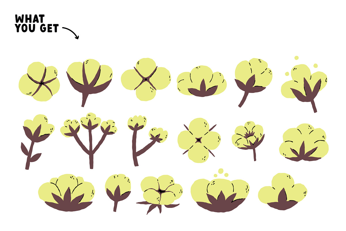 Cotton Flower, an Object Graphic by AnkaDrozd (Photo 4 of 7)