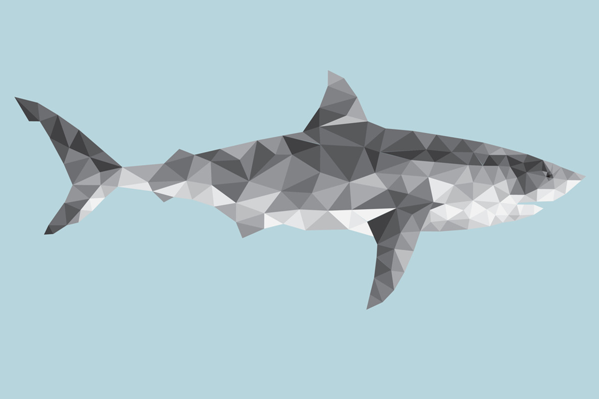 Fish - marine animals preview 2