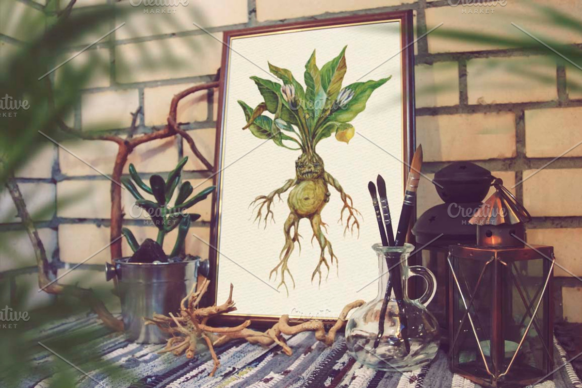Watercolor Alchemy Medicinal Herbs, an Illustration by Fluffy Unicorn (Photo 8 of 10)