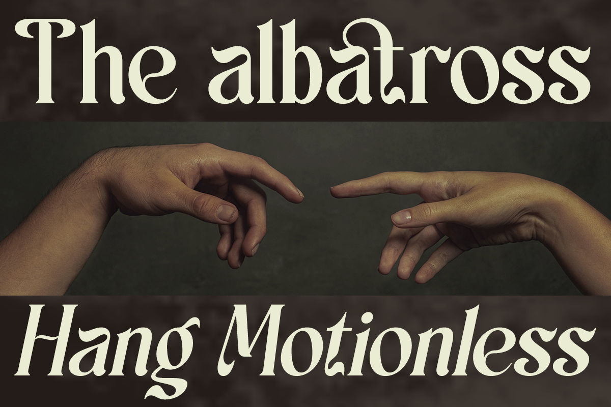 Scales - Aesthetic Ligatures Serif, a Serif Font by Say Studio (Photo 3 of 13)