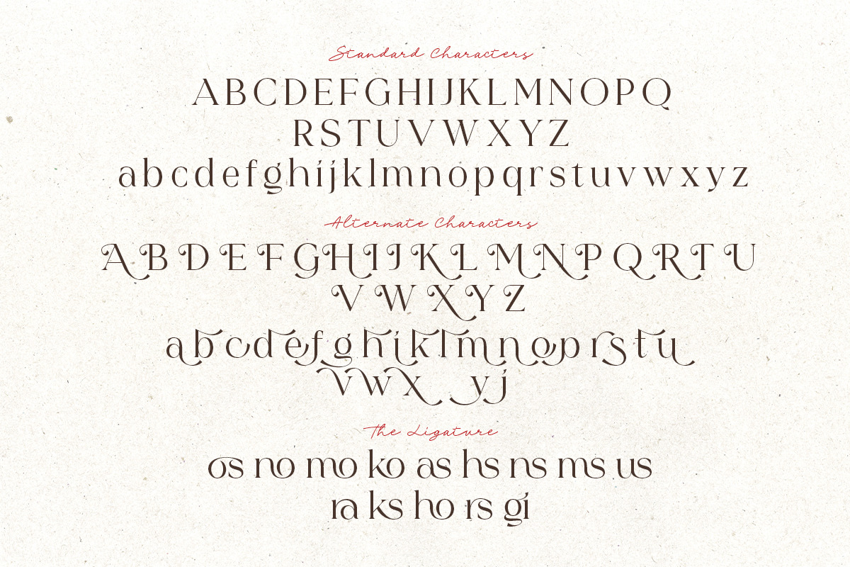 Blushing Rose - Stylish Modern Serif, a Serif Font by Sarid Ezra (Photo 9 of 13)