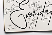 Algorithm Brush Font, a Script Font by Maxim apperian (Thumbnail 5 of 7)