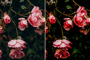 Floral Lightroom Presets, a Layer Style Add-On by Rapita Photography© (Thumbnail 11 of 11)