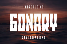 Gonary - Bold Display Font