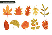 HELLO AUTUMN: clipart|border|pattern, a Seasonal Illustration by Elliko shop (Thumbnail 5 of 12)