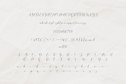 Amellina - A lovely Calligraphy Font, a Script Font by Pen Culture (Thumbnail 9 of 10)