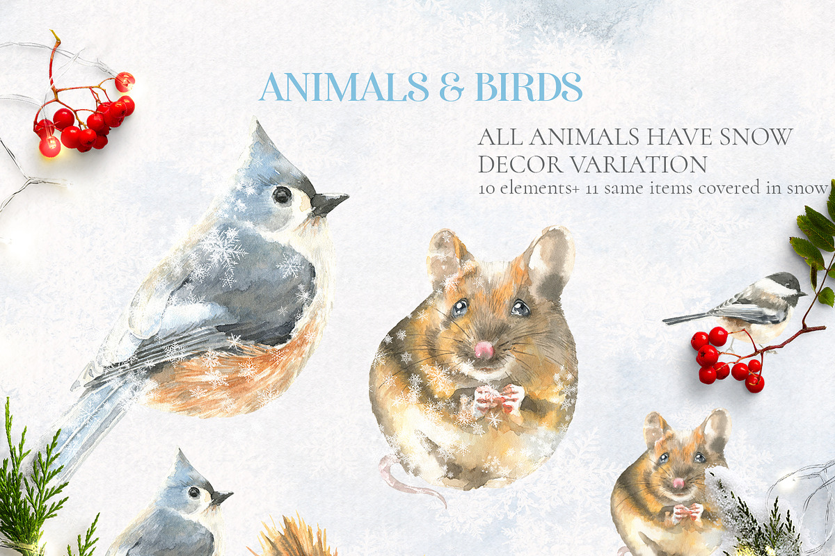 Christmas Watercolor Woodland Story, an Animal Illustration by Catherine Wheel (Photo 12 of 29)