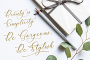 Rumaysa Chambert Luxury Script, a Serif Font by Storytype Studio (Thumbnail 9 of 16)