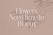 Koln - Modern Serif, a Serif Font by Megi Satyo Widodo (Thumbnail 14 of 20)