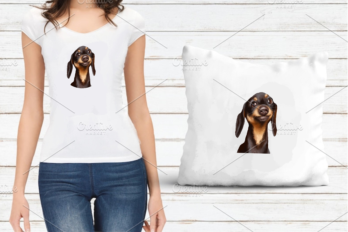 Dog dachshund, an Animal Illustration by sheincar (Photo 3 of 3)