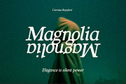 Carmine Raysford | Nostalgic Serif, a Serif Font by Fargun Studio (Thumbnail 18 of 27)