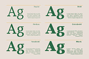 Bagiora - Chunky Foodie Serif Font, a Serif Font by Casloop Studio (Thumbnail 9 of 10)