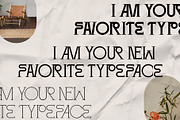 SLTF Winner Baroque - Ligature Serif, a Serif Font by SilverStag Type Foundry (Thumbnail 26 of 30)