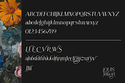 LOUIS felligri | Serif Display Font, a Serif Font by Jolicia Type (Thumbnail 13 of 15)