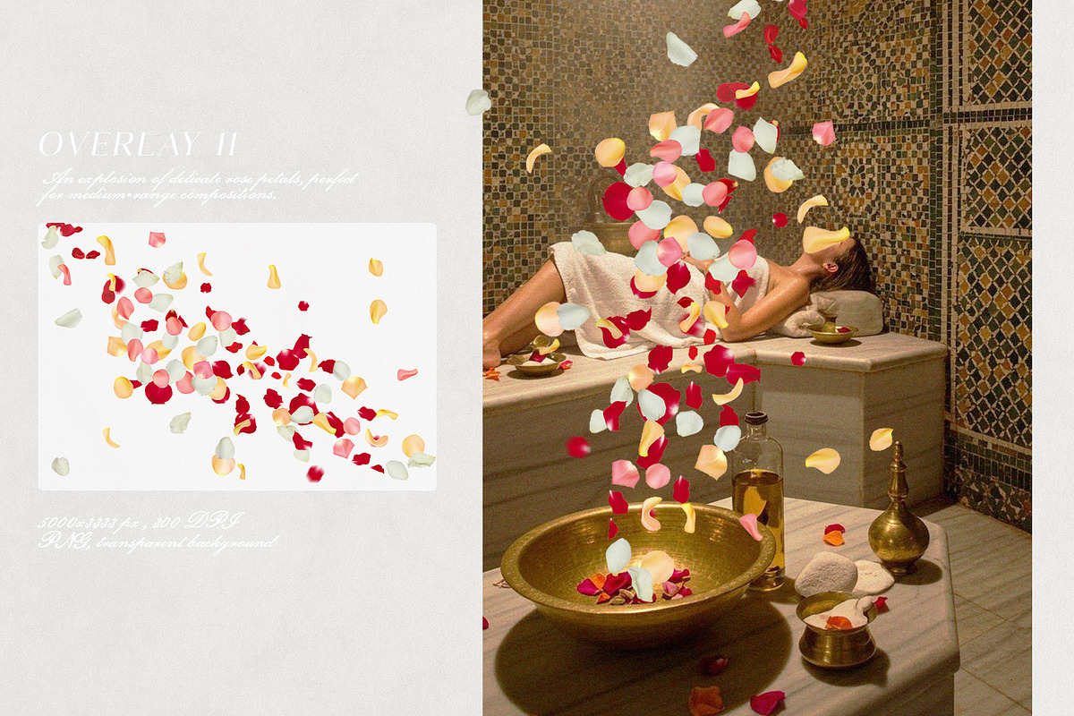 Multicolored Rose Petals Overlays, a Texture Graphic by Kaleriia (Photo 12 of 16)