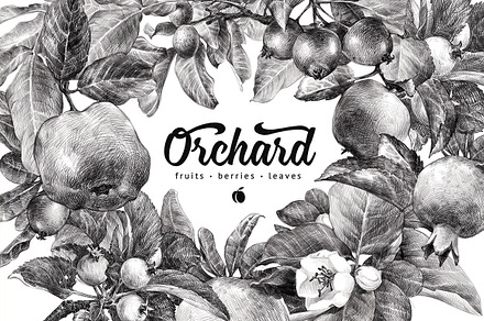 Orchard