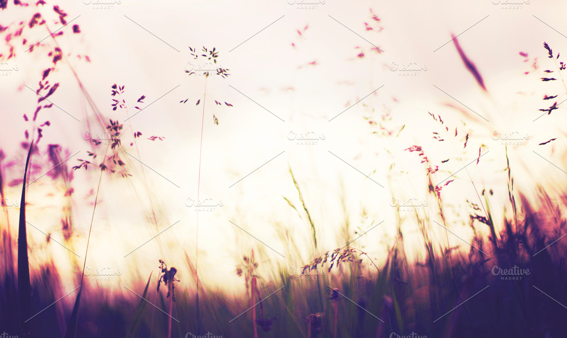 Dreamy featuring summer, sun, and nature, a Nature Photo by AlyssaKayeGraham