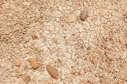 Dry earth with cracks and stones containing arid, texture, and dirt, an Abstract Photo by Photostock