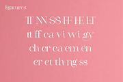 Peanut Butter, a Serif Font by Funtype (Thumbnail 10 of 12)