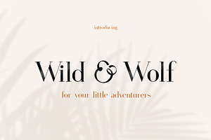 Gorgeous Serif Font