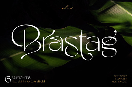 Brastag | Display Family Font, a Sans Serif Font by Ekahermawan