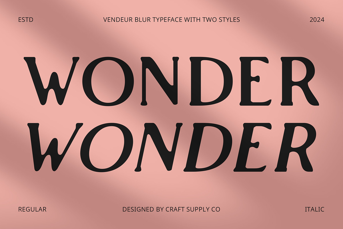 Vendeur Blur, a Serif Font by Craft Supply Co. (Photo 2 of 8)