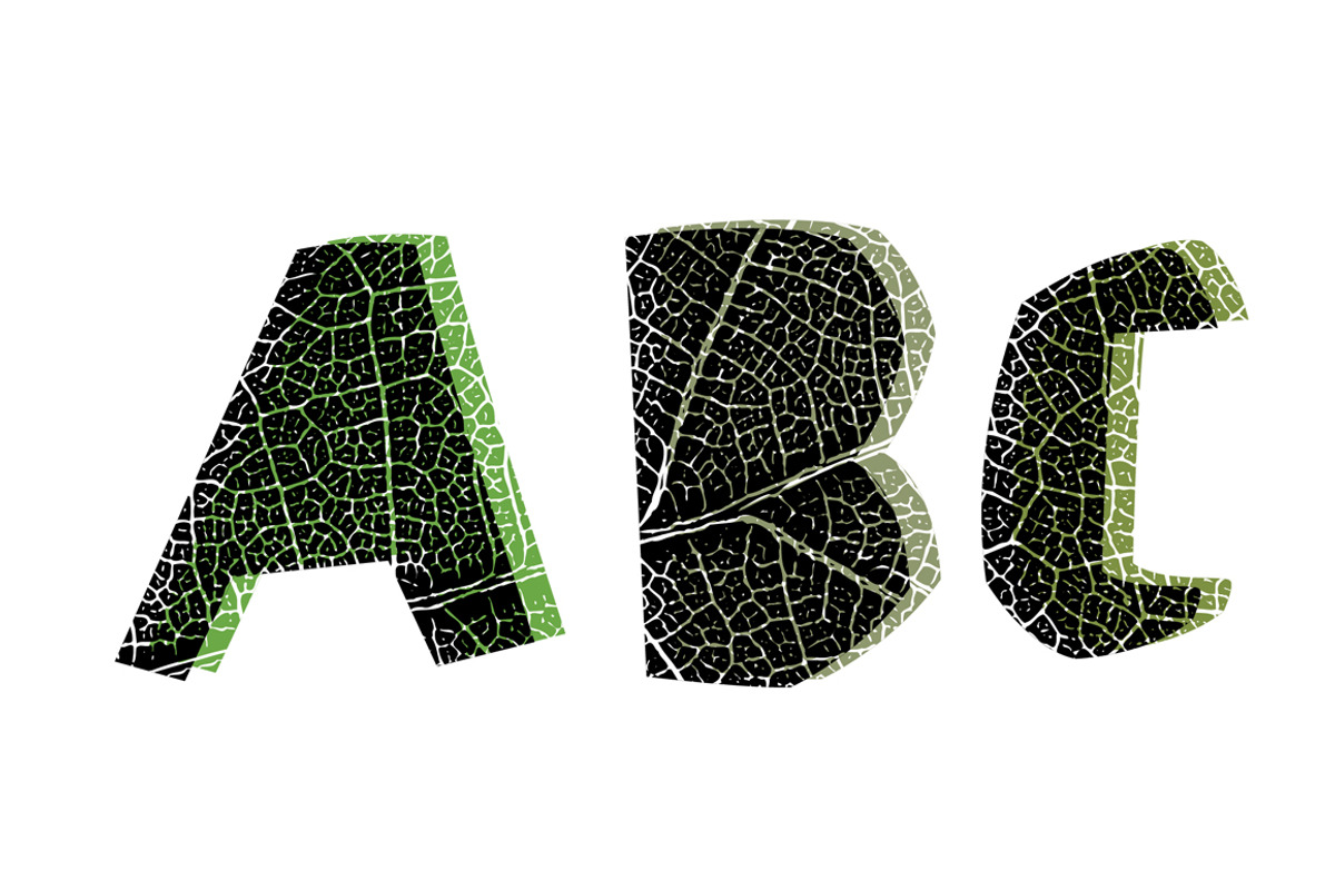 Leaf cut font. Cut-out shape preview 5