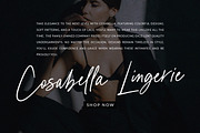 Chelsie Hilton //Luxe Signature Font, a Handwritten Font by PeachCreme (Thumbnail 10 of 11)