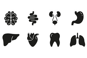 Human Brain, Intestine, Urinary Icon, an Object Illustration by Gentle Studio