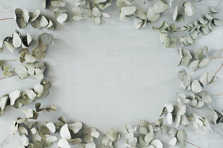 Frame with eucalyptus, a Nature Photo by Floral Deco
