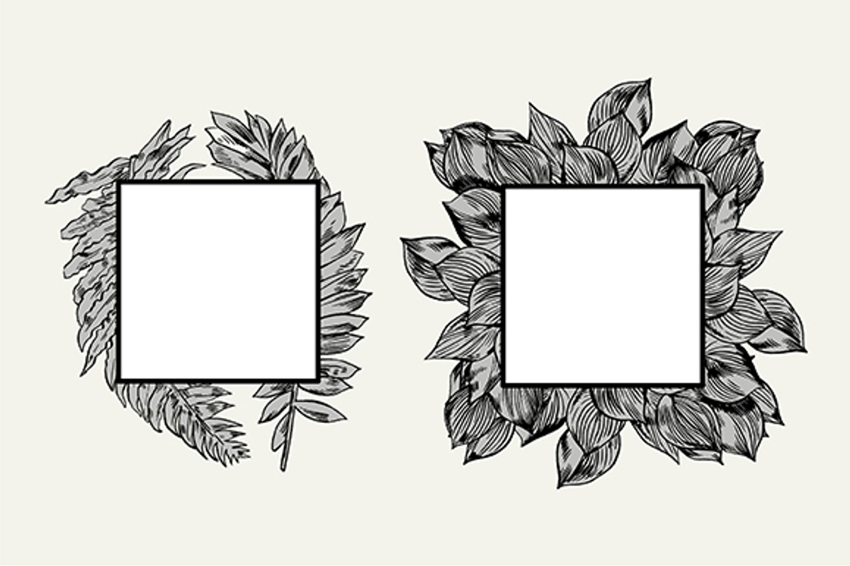 TROPIC set 2, a Decorative Illustration by Tanya Akhmett (Photo 7 of 10)