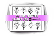 50 Iris Flowers Procreate Stamps, a Brush Add-On by Procreate Sale (Thumbnail 1 of 6)