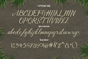 Merthy Script, a Script Font by madeDeduk (Thumbnail 5 of 9)