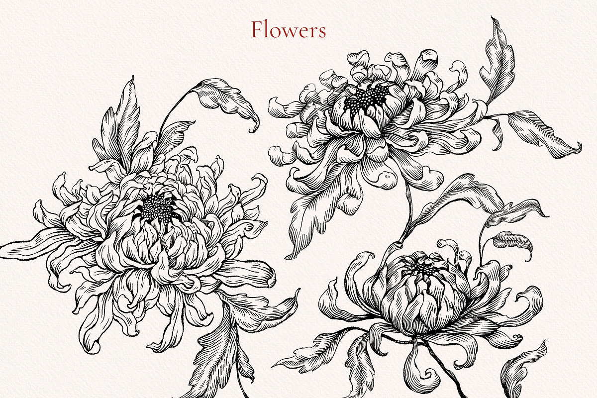 Flower Secret, a Decorative Illustration by Ekaproeka (Photo 6 of 8)