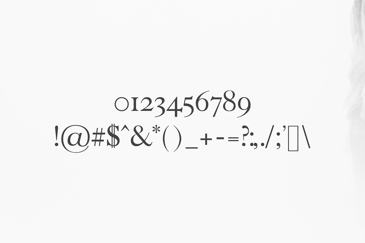 Faraz Modern Serif Typeface preview 3